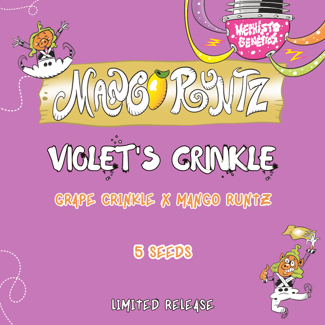 Violet's Crinkle