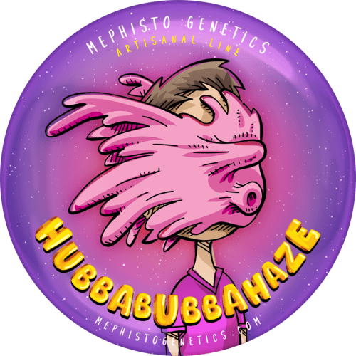 HubbaBubbaHaze