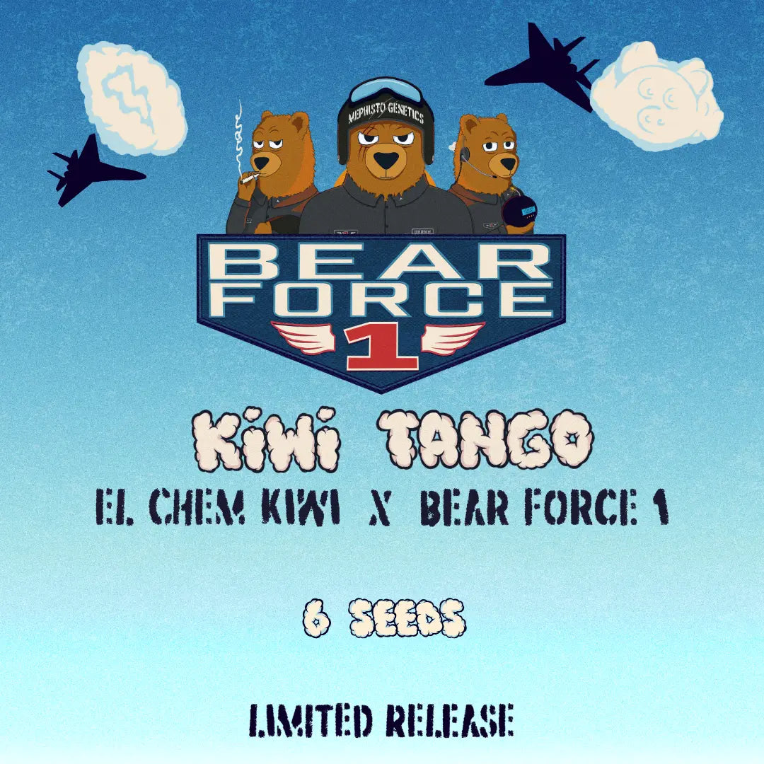 Kiwi Tango