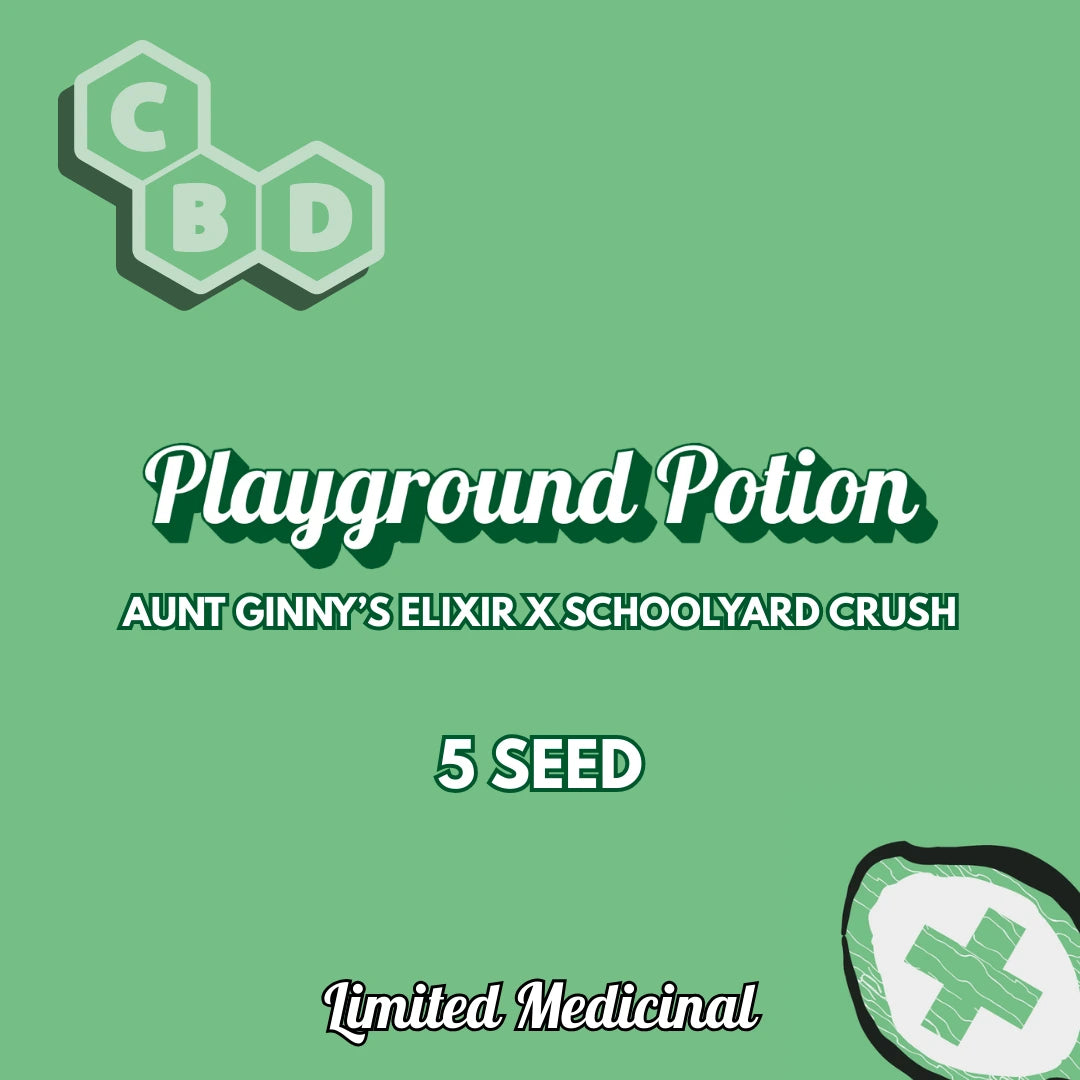 Playground Potion
