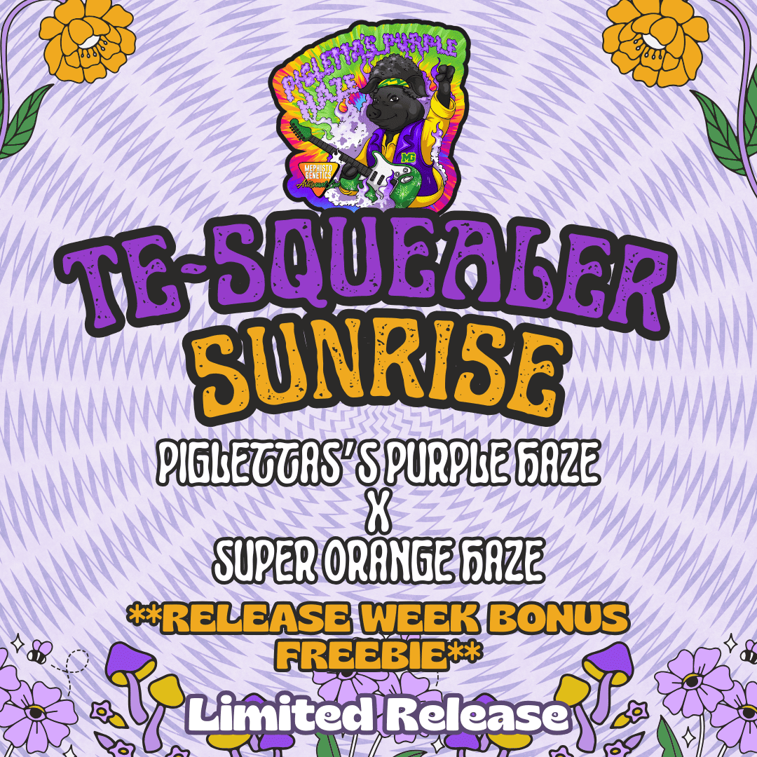 Te-Squealer Sunrise