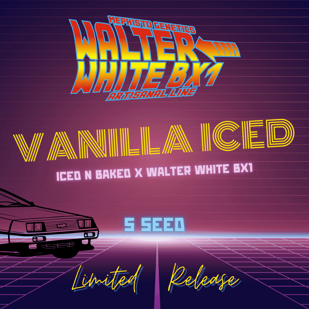 Vanilla Iced
