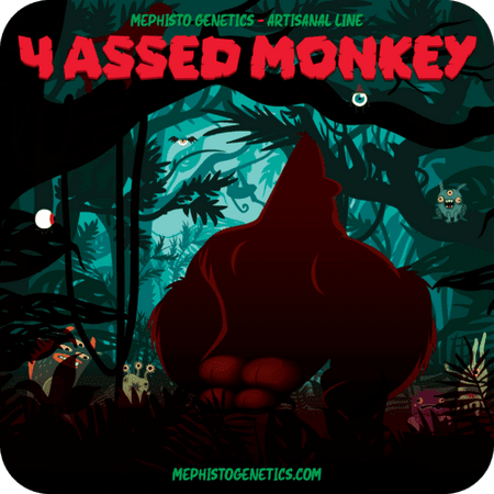 4 Assed Monkey