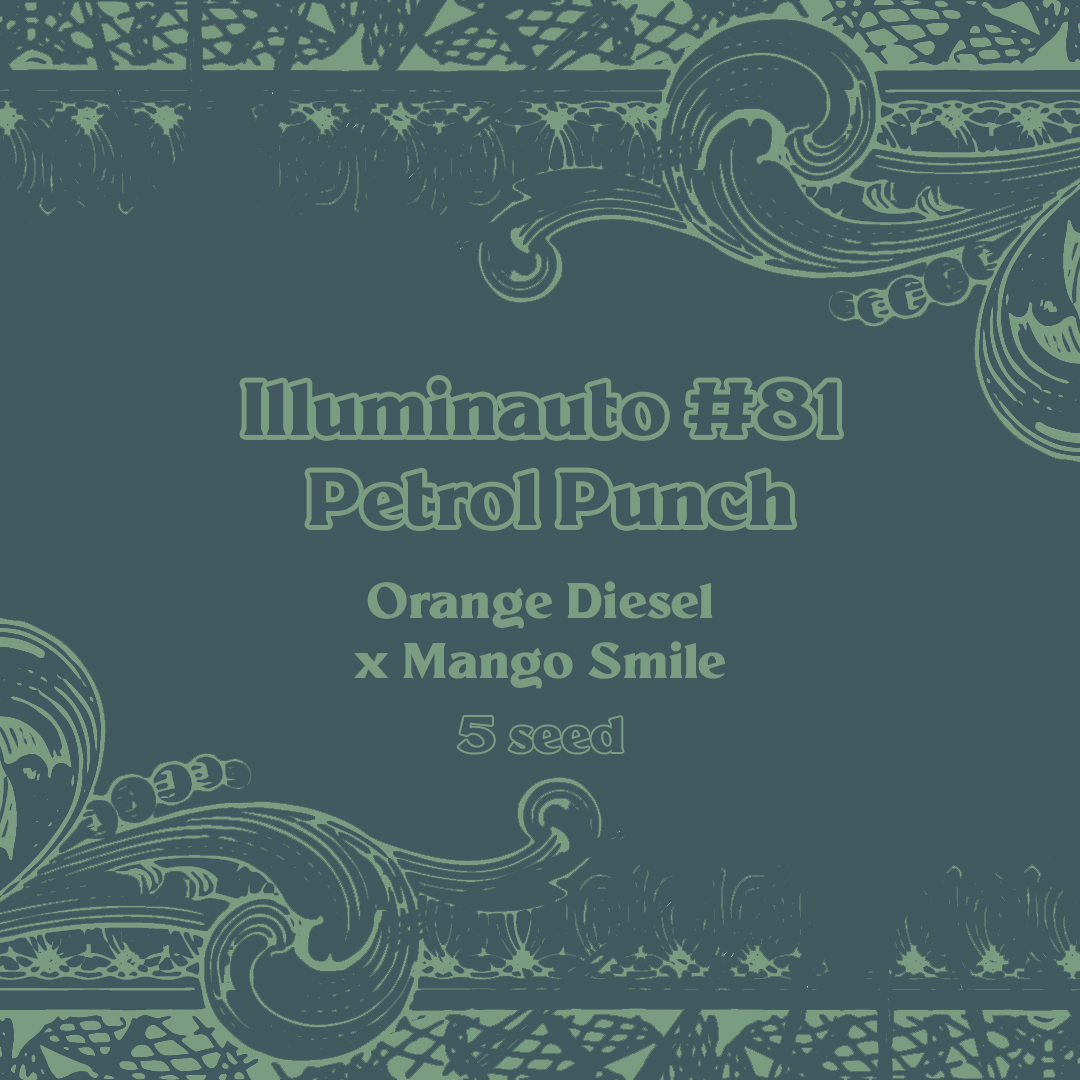 ILL#81 - Petrol Punch