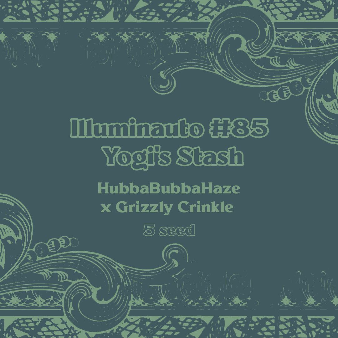 ILL#85 - Yogi's Stash