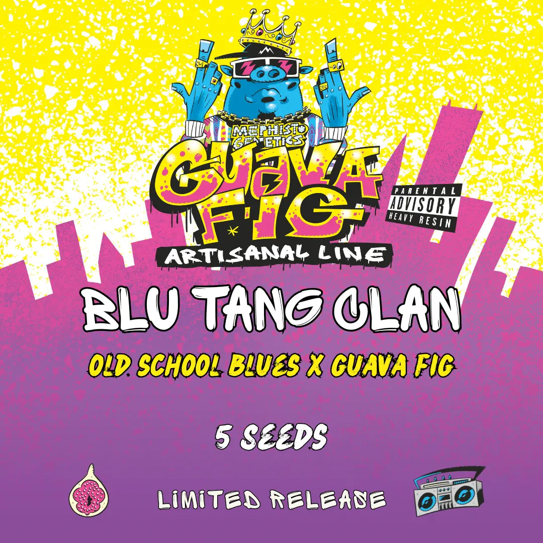 Blu Tang Clan