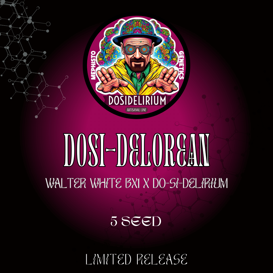 Dosi-DeLorean