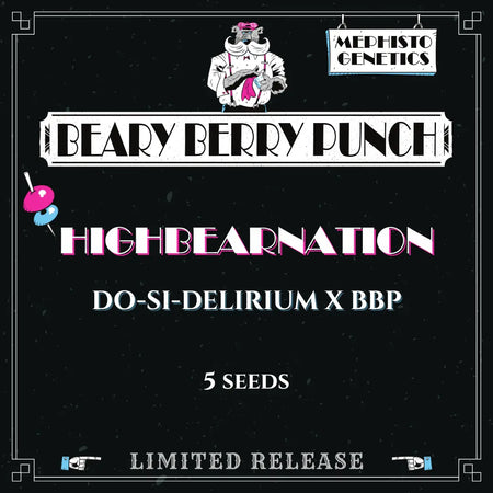 Highbearnation