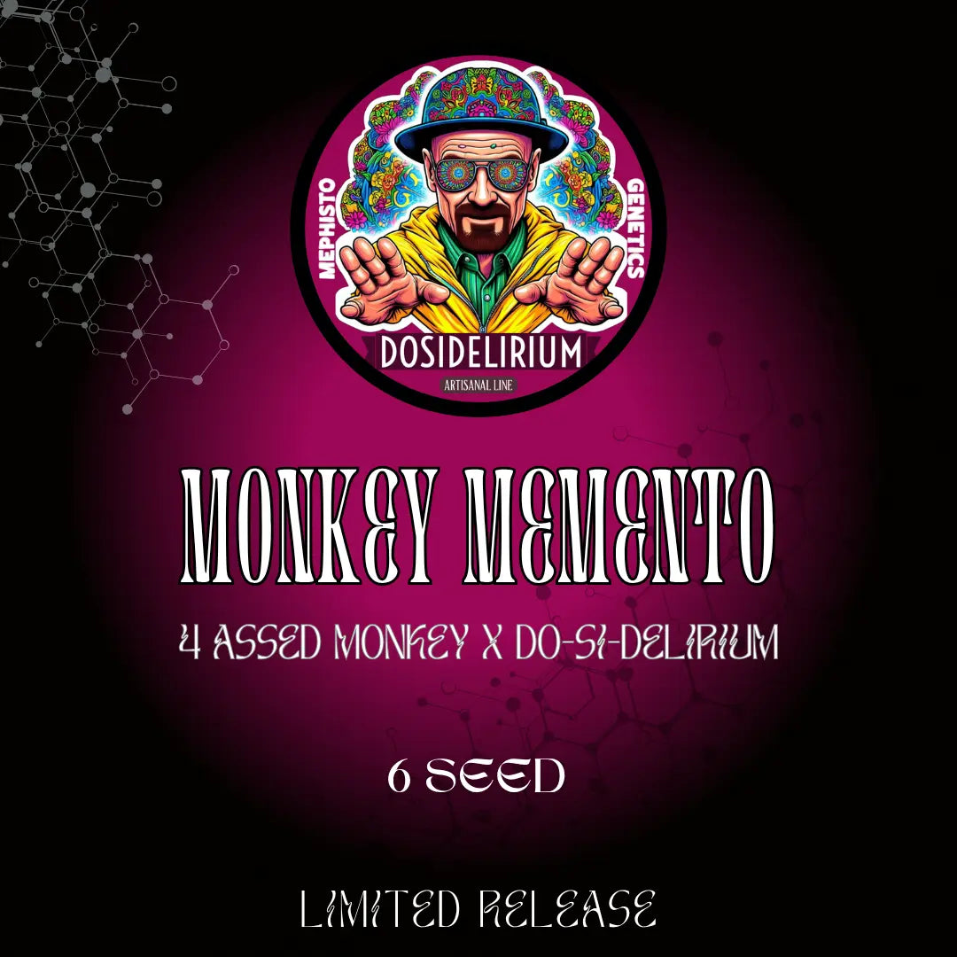 Monkey Memento