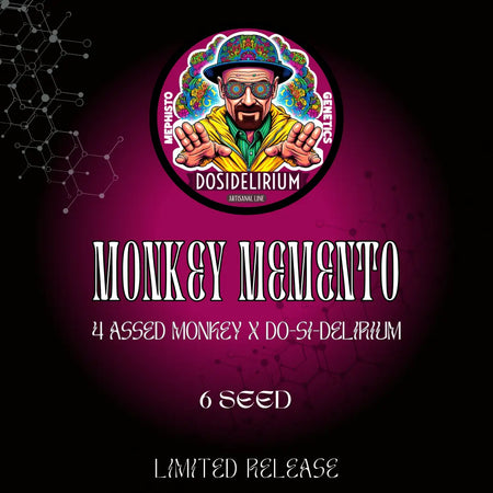 Monkey Memento
