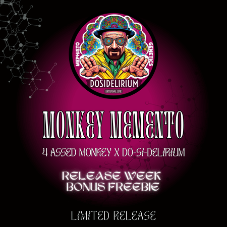 Monkey Memento