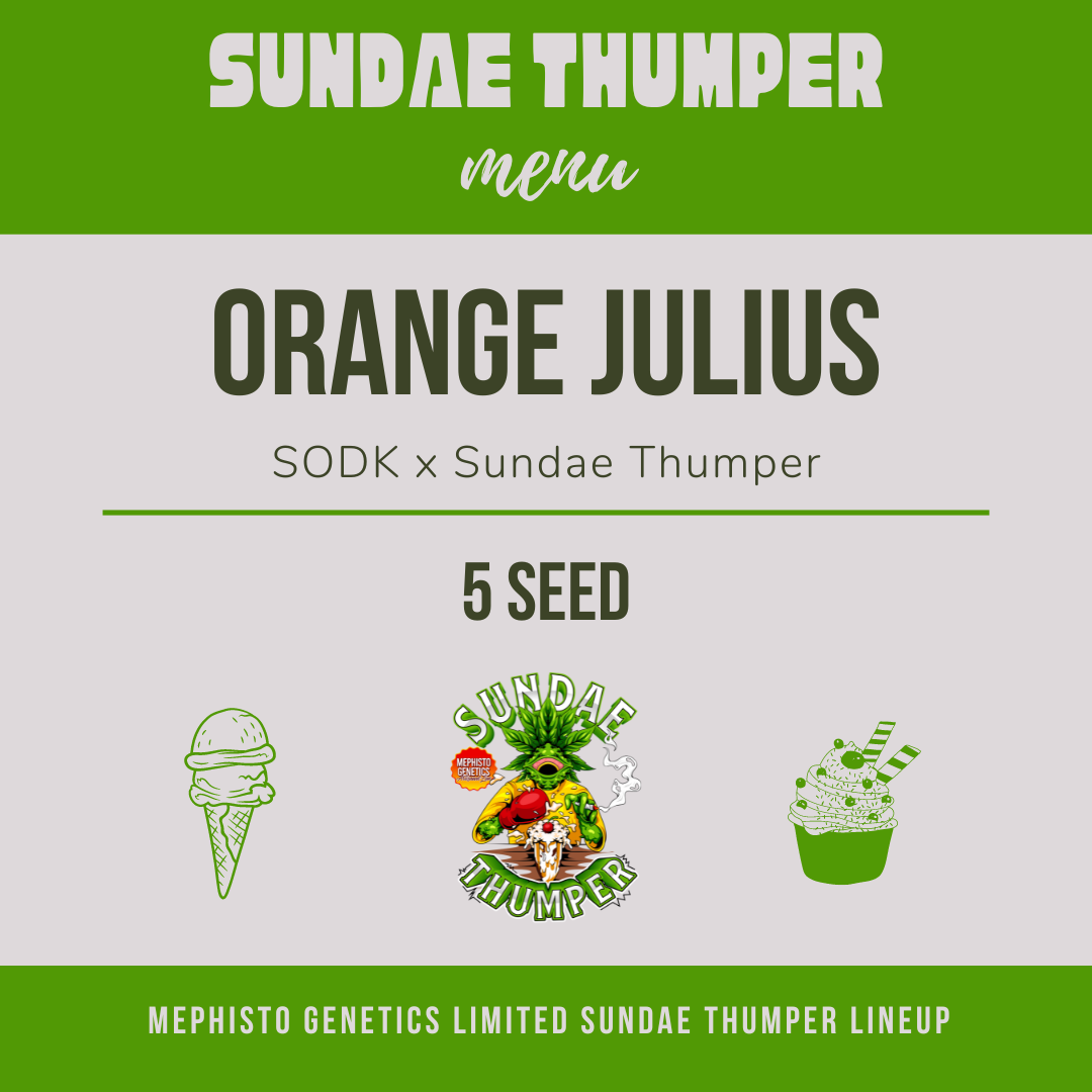 Orange Julius