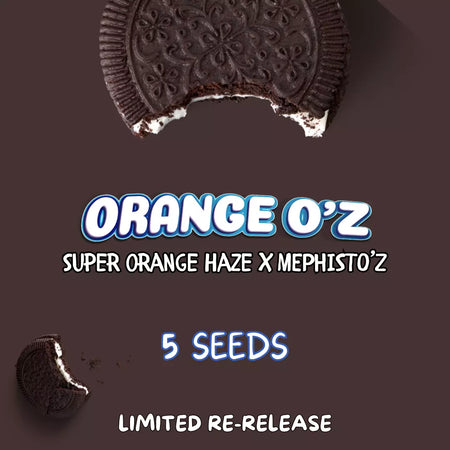 Orange O'z