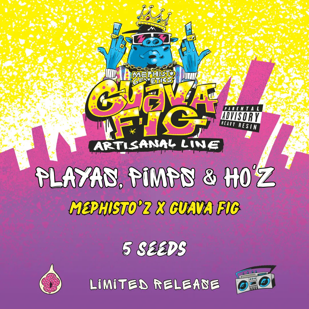 Playas, Pimps & HO'z