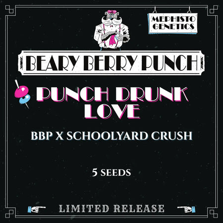 Punch Drunk Love
