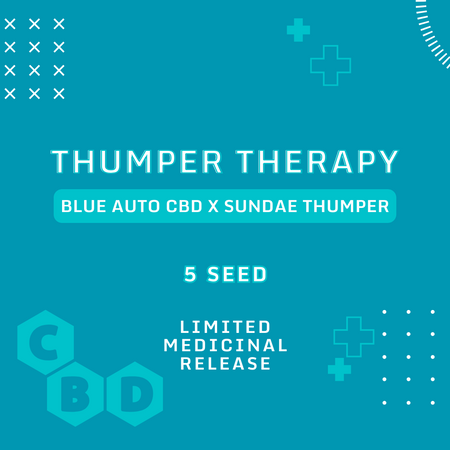 Thumper Therapy