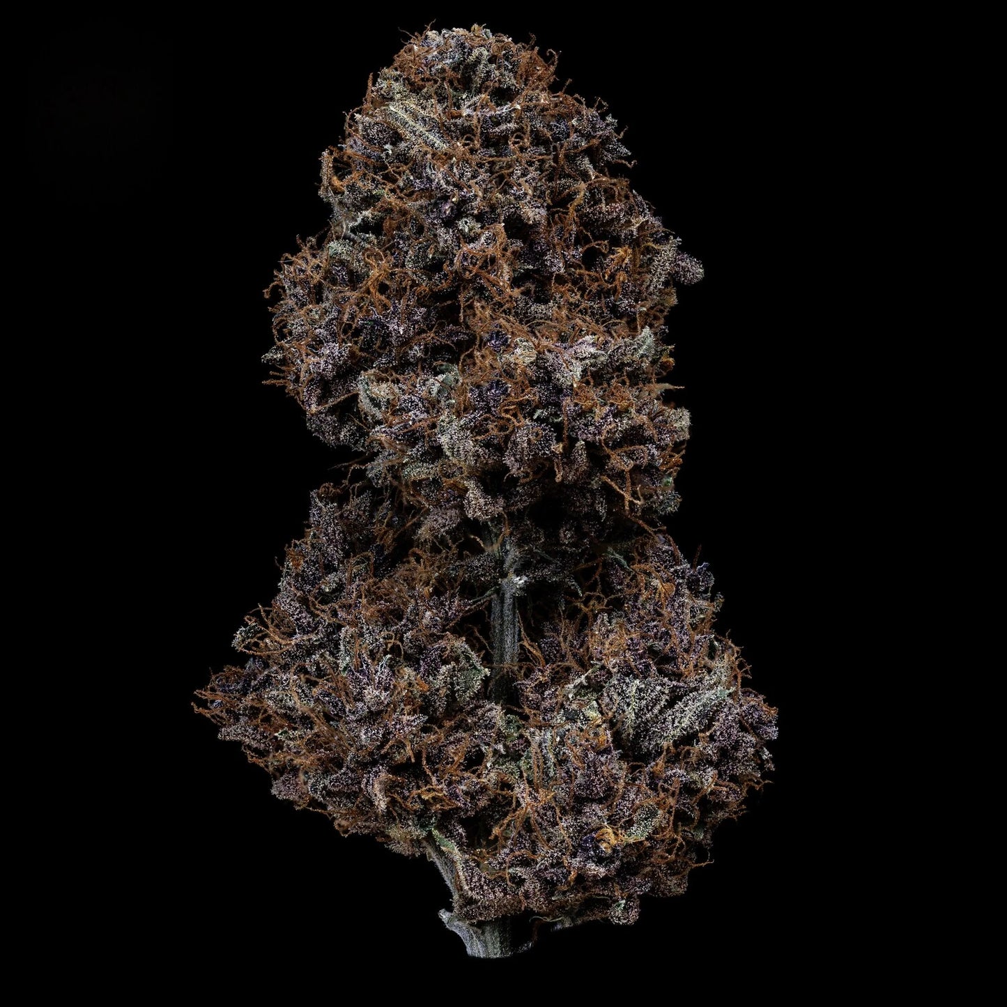 Purple Nuggets