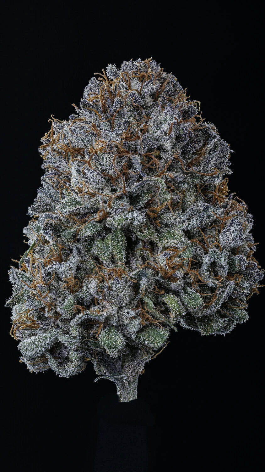 Rainbow Sundae 11