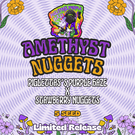 Amethyst Nuggets