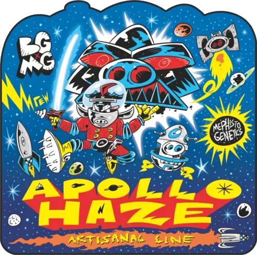 Apollo Haze