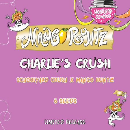 Charlie's Crush