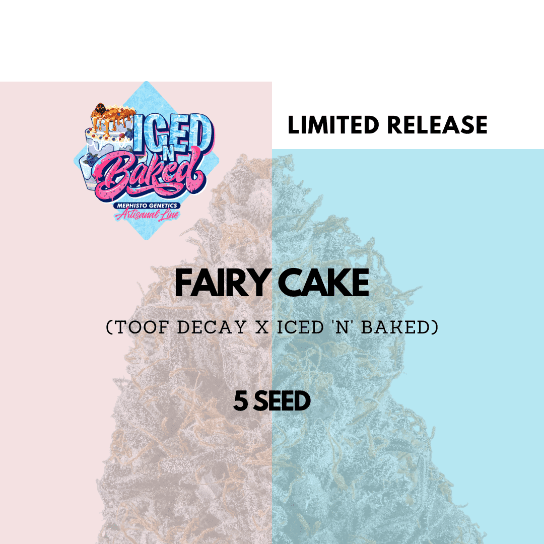 Fairy Cake