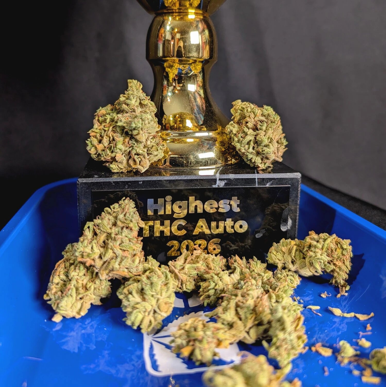 AAC Highest THC Autoflower image 2