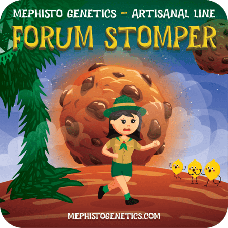 Forum Stomper