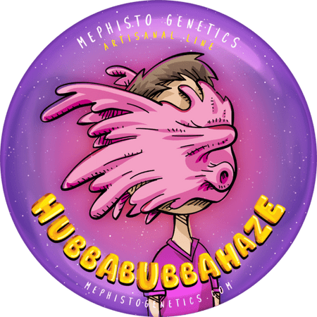 HubbaBubbaHaze