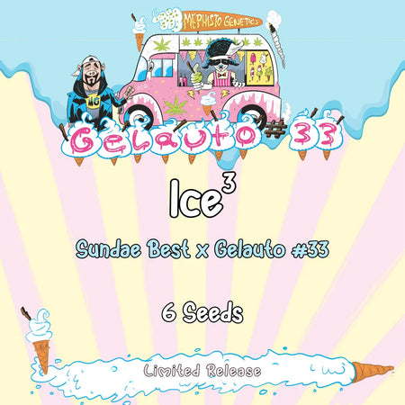 Ice³