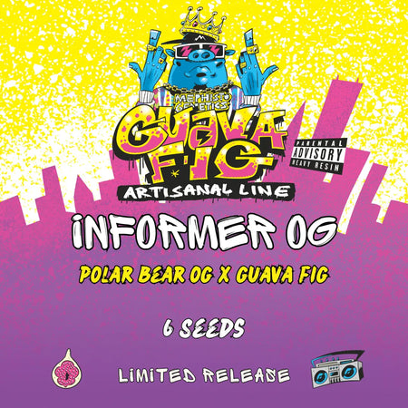 Informer OG
