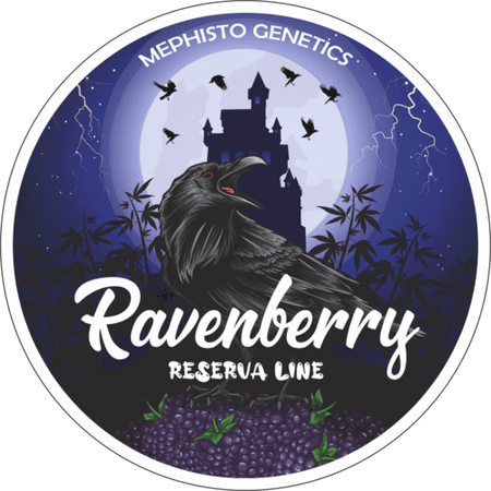 Ravenberry