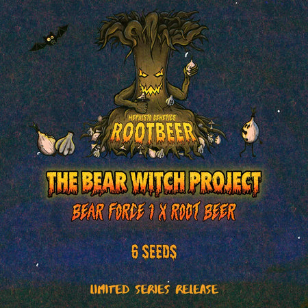 The Bear Witch Project